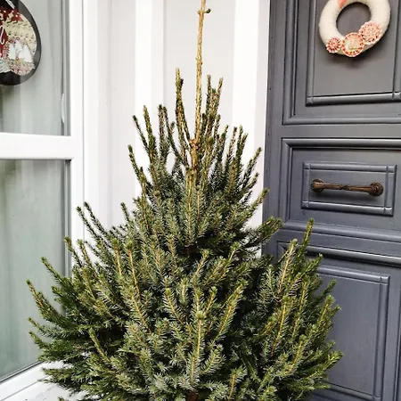 Bed and Breakfast Casa Dalma